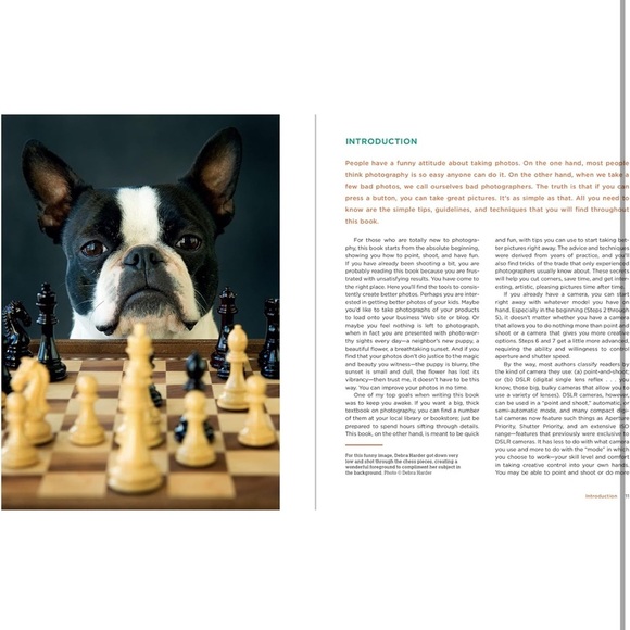 BetterPhoto Basics: The Absolute Beginner’s Guide to Taking Photos Like a Pro - Picture 2 of 5